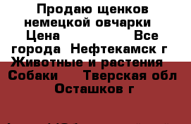 Продаю щенков немецкой овчарки › Цена ­ 5000-6000 - Все города, Нефтекамск г. Животные и растения » Собаки   . Тверская обл.,Осташков г.